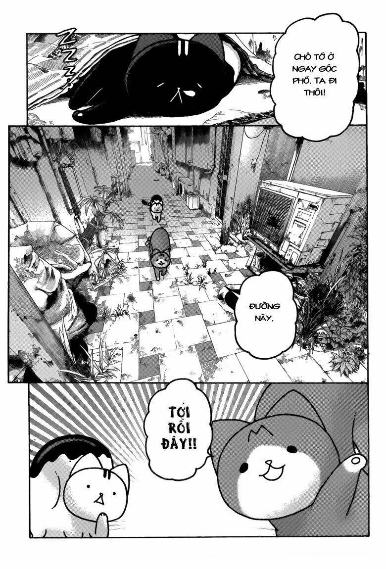 donyatsu chapter 40 11