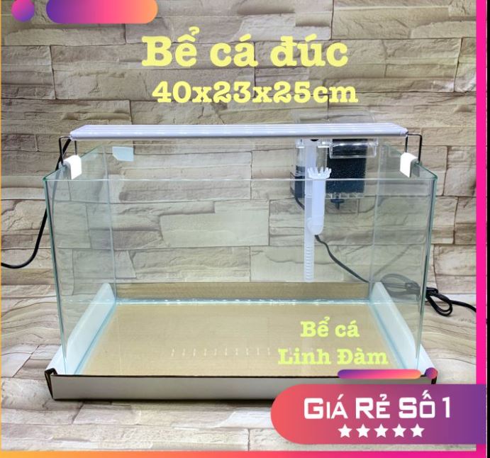 Bể kính đúc uốn góc  Bể cá cảnh | Hồ thủy sinh
