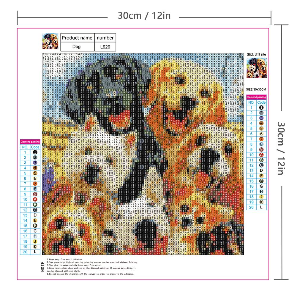 Bộ dụng cụ vẽ tranh DIY tại nhà kích thước 12x12 inches