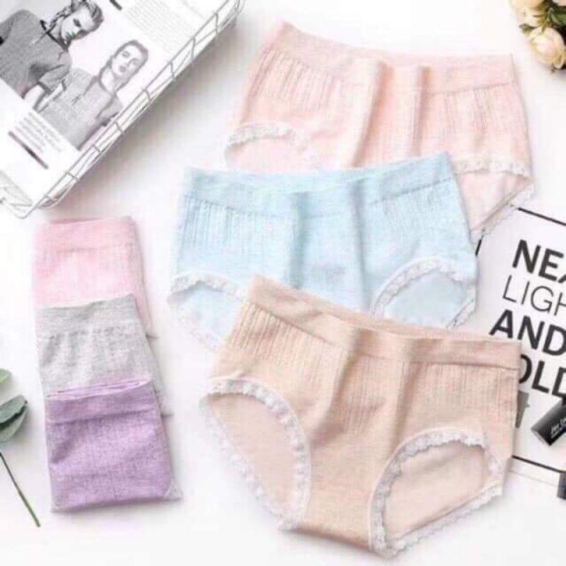 Chuyên sỉ lẻ hộp 5 Quần cotton 365 Dệt Kim kháng khuân Full Hộp Trắng Chính hãng
