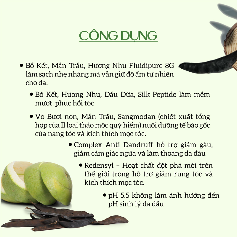 Dầu gội thảo dược sạch gàu, giảm xơ rối ECOCARE PREMIUM 300ml đạt chuẩn CGMP, dầu gội xả thiên nhiên