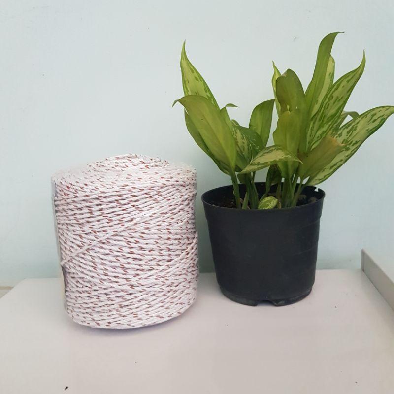 Dây thừng chuyên giăng giàn cây leo 200 mét|| 1kg