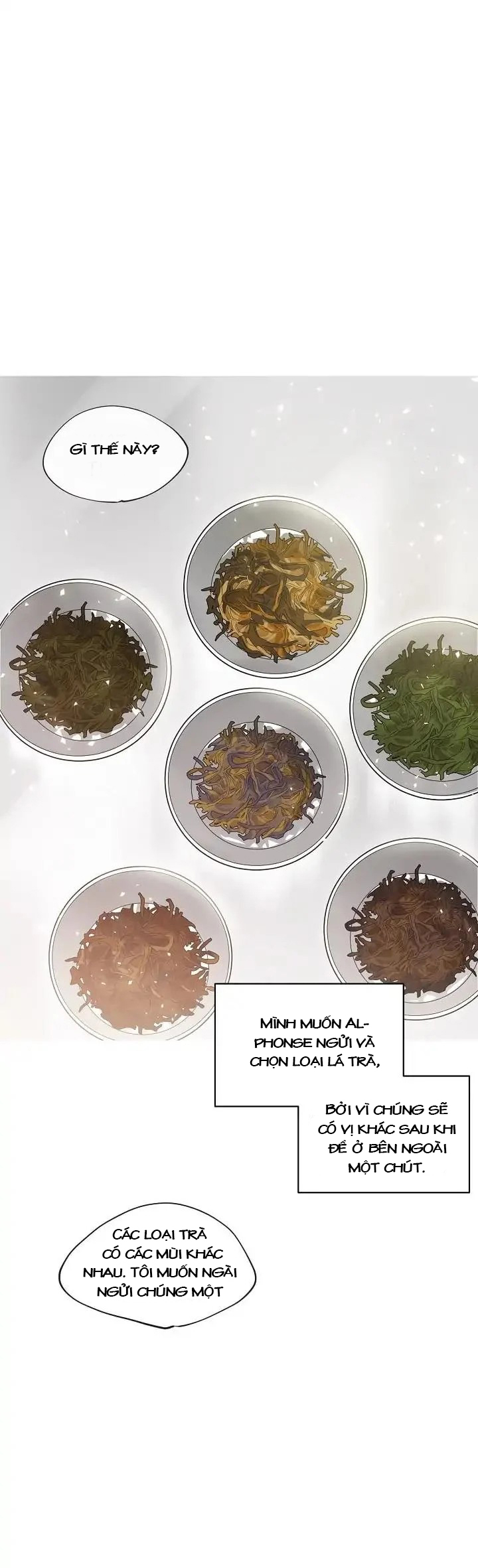 50 công thức pha trà của nữ công tước chapter 9 22