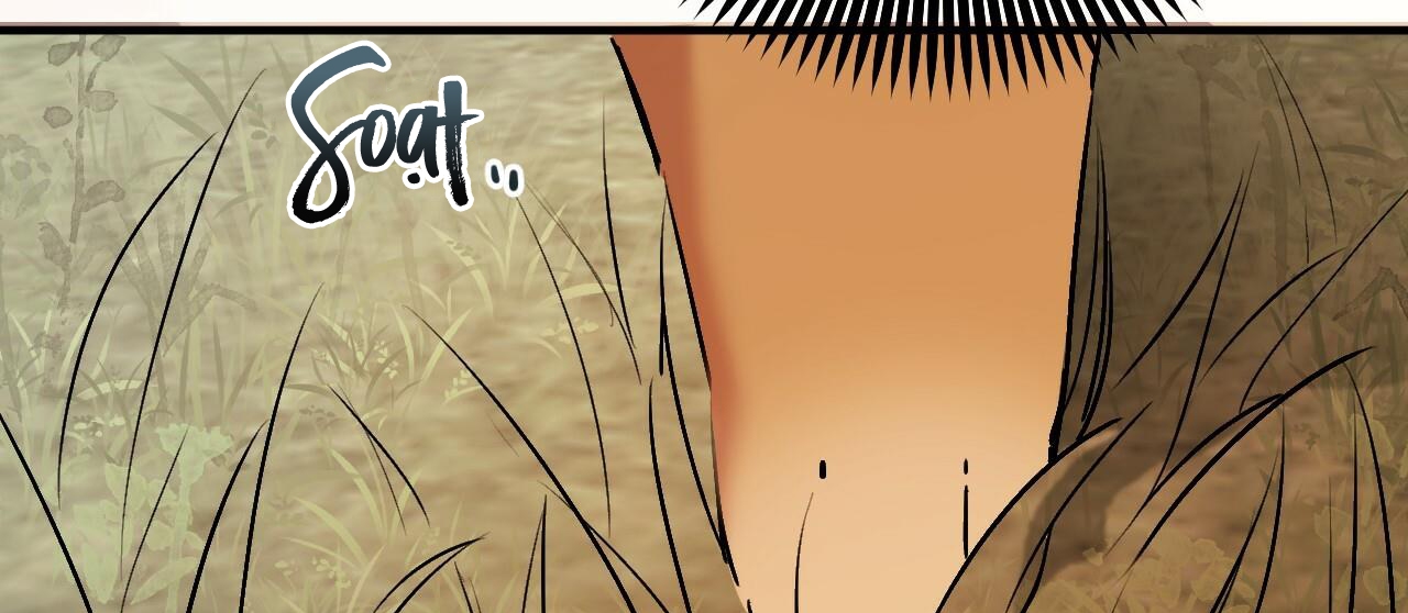 đàn thỏ của habibi chapter 45 261