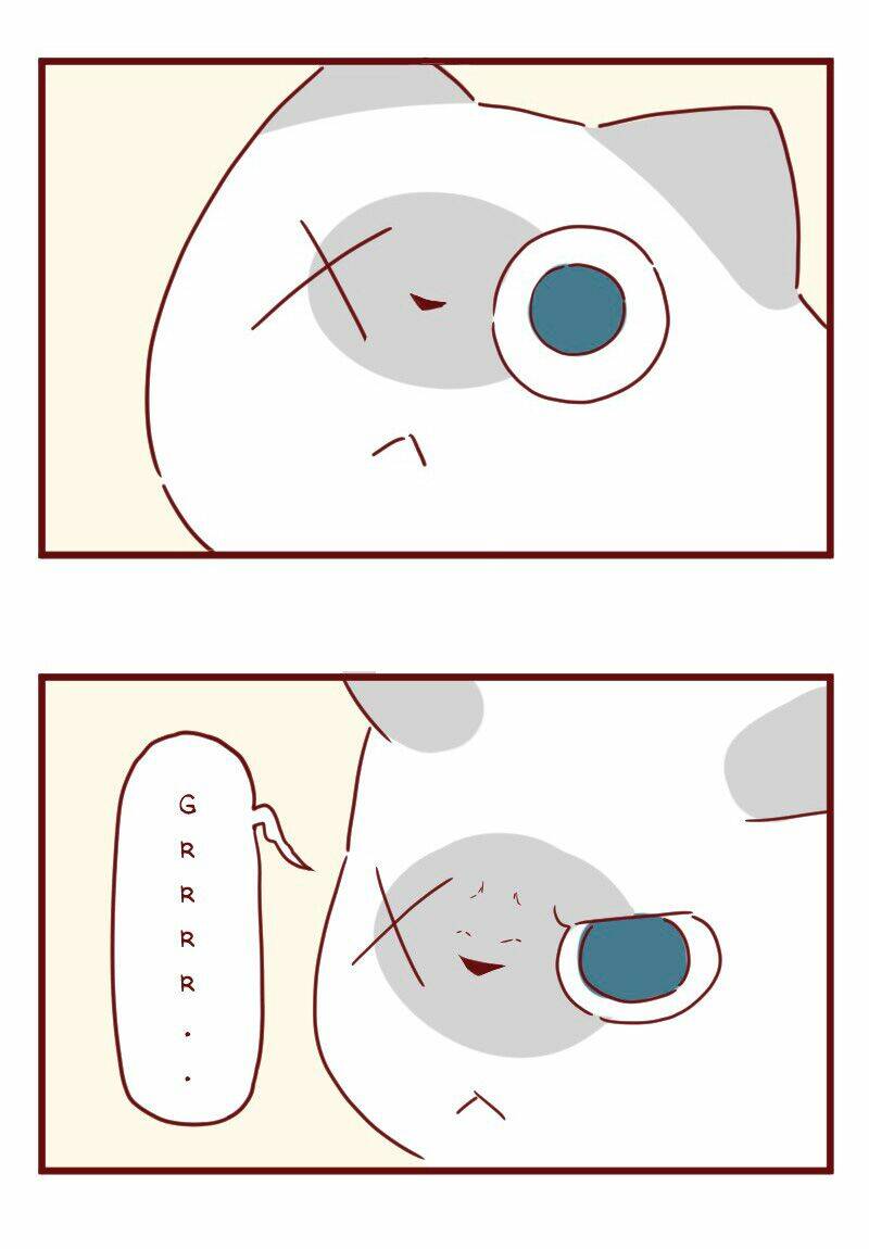 saphie: chú mèo một mắt chapter 27 12