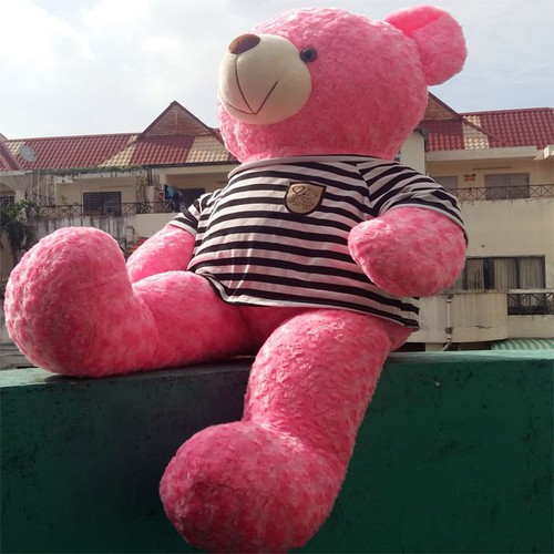 Gấu bông Teddy ICHIGO khổ vải 1m2 màu Hồng