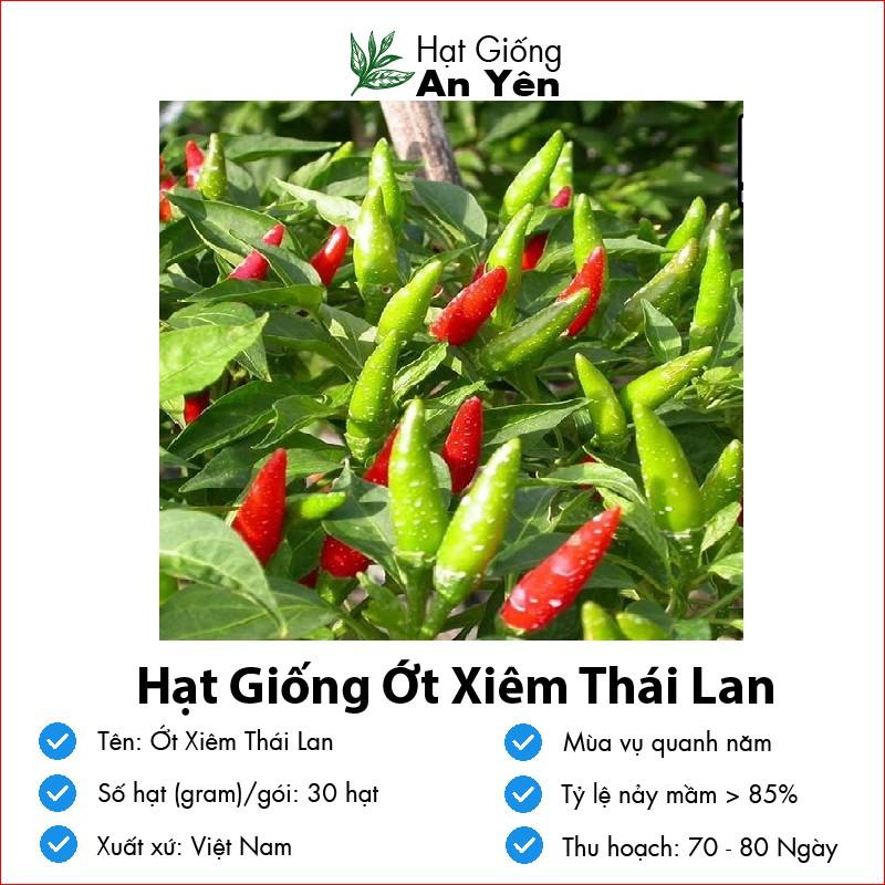 Hạt giống Ớt Xiêm Thái Lan thu hoạch sớm, dễ trồng, nảy mầm cao, sinh trưởng khoẻ