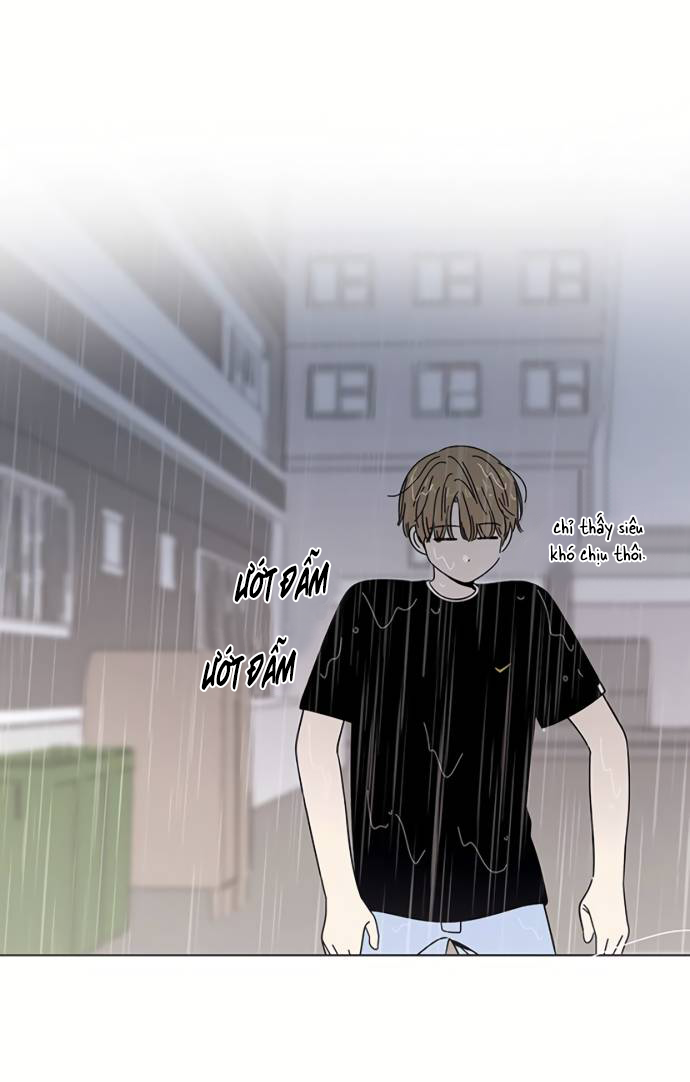 thanh xuân rực rỡ - season of blossom chapter 41 53