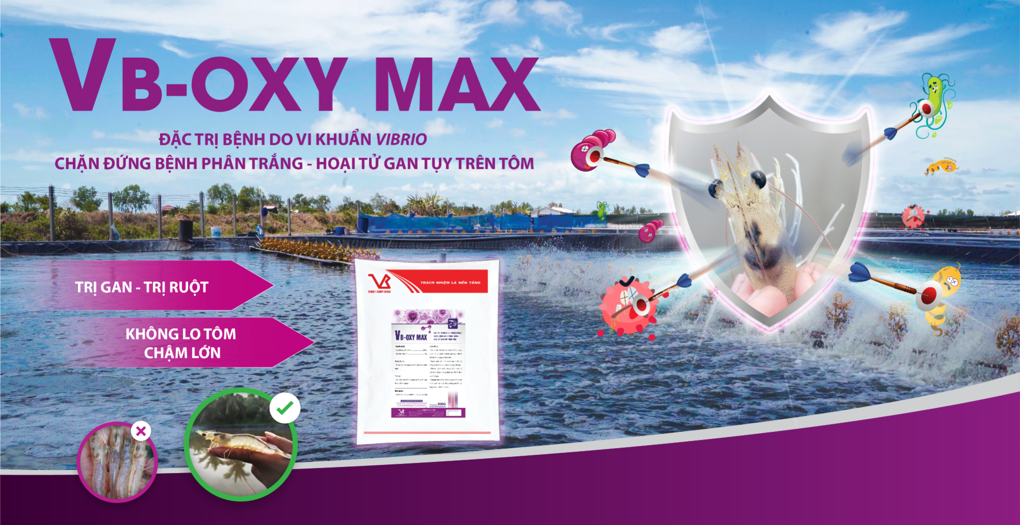 Thuốc tạc gan và ăn cho tôm oxytetra, phòng và trị bện gan cho tôm, gói 500g