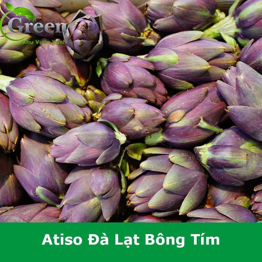 Hạt Giống Atiso Đà Lạt Bông Tím Chất Lượng