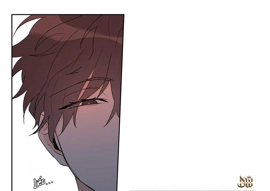 guide cấp b chapter 22 95