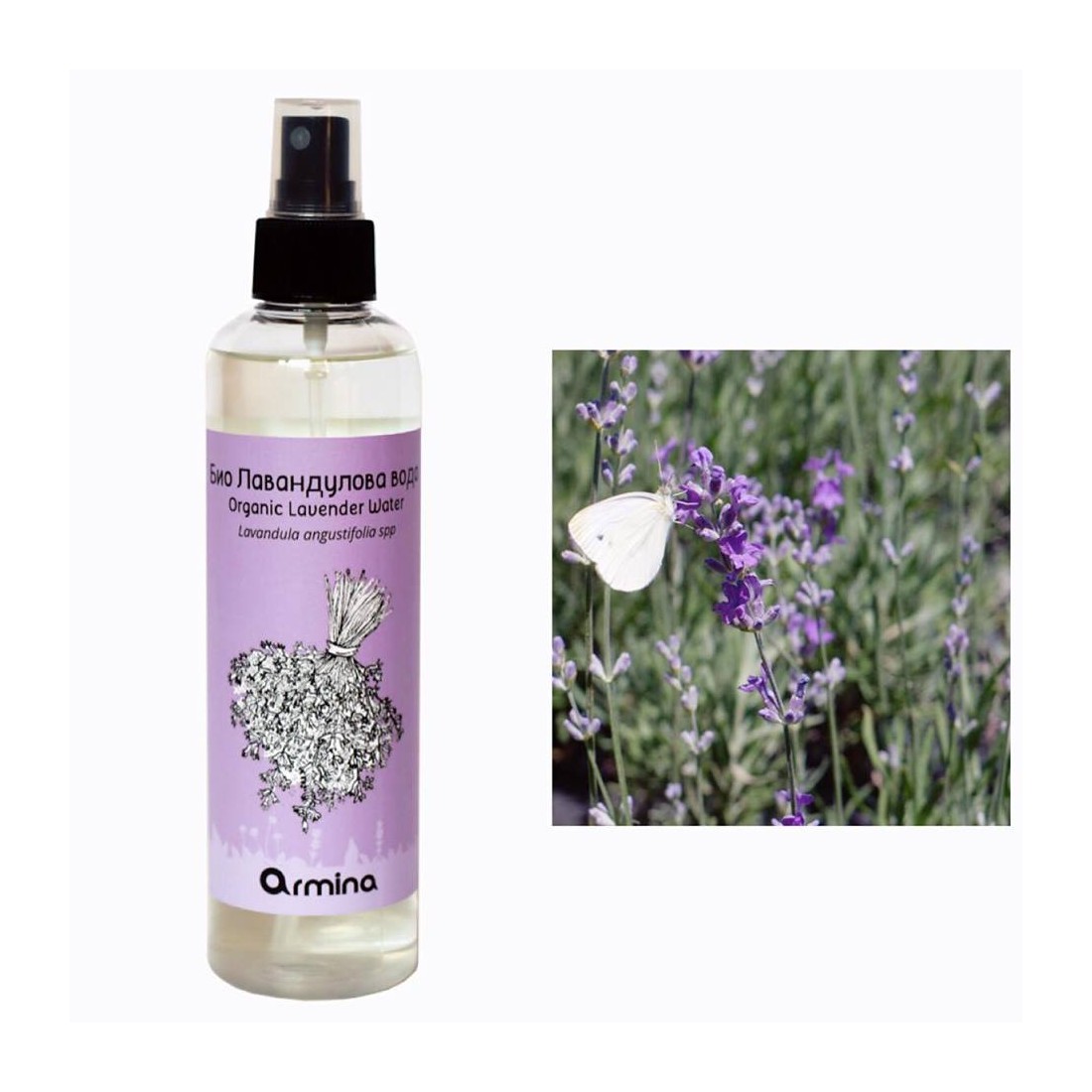 Nước oải hương (lavender) hữu cơ Armina 250ml