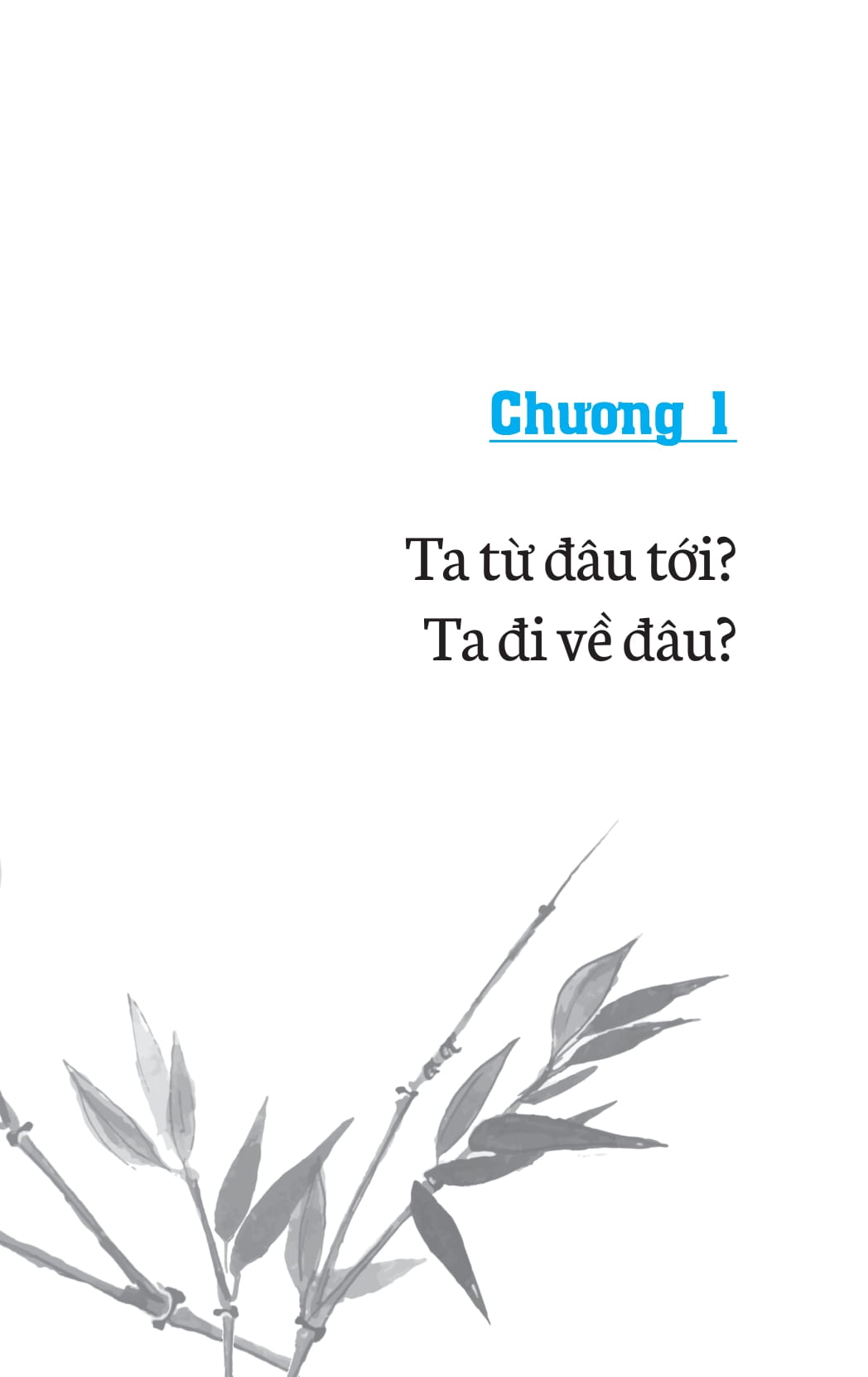 Không Sinh Không Diệt Đừng Sợ Hãi - Thích Nhất Hạnh