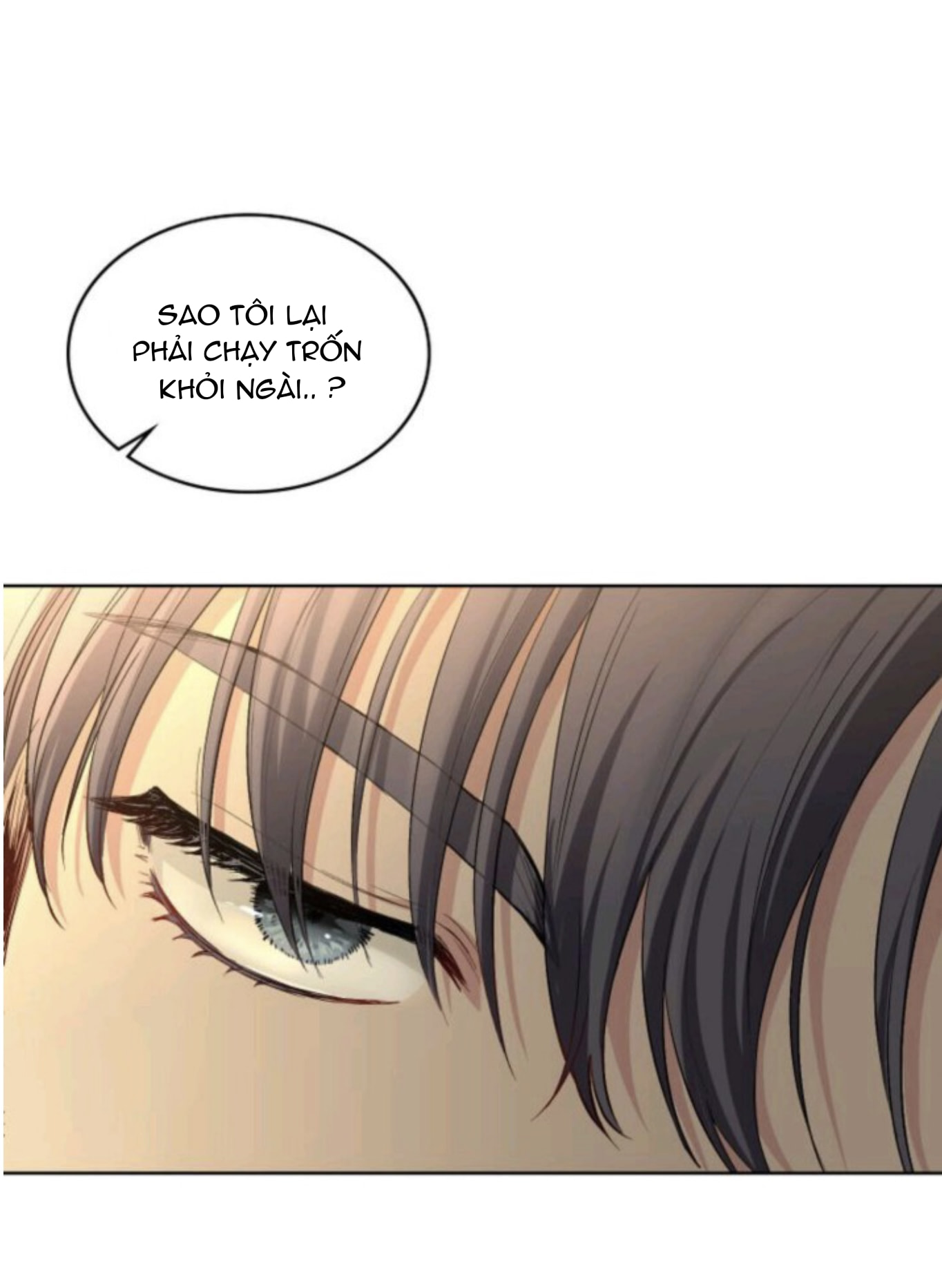 đi tìm nàng camellia chapter 0 6