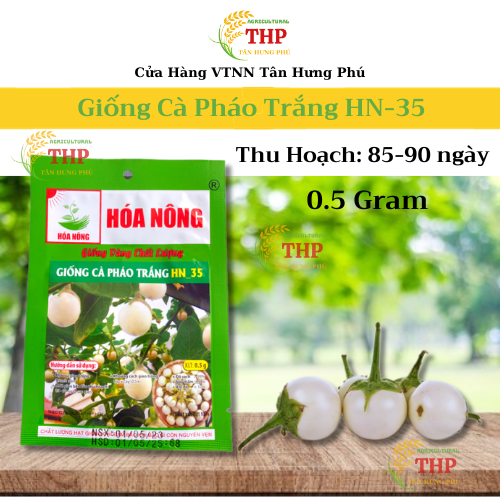 Hạt giống Cà Pháo Trắng HN-35 | Hạt Giông | gói 0.5gr