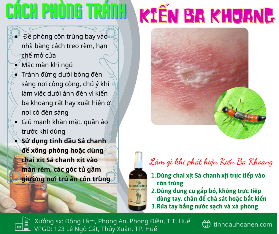 Tinh dầu Sả Chanh nguyên chất Hoa Nén 3ml - 100ml - Đuổi muỗi, khử mùi, giải cảm