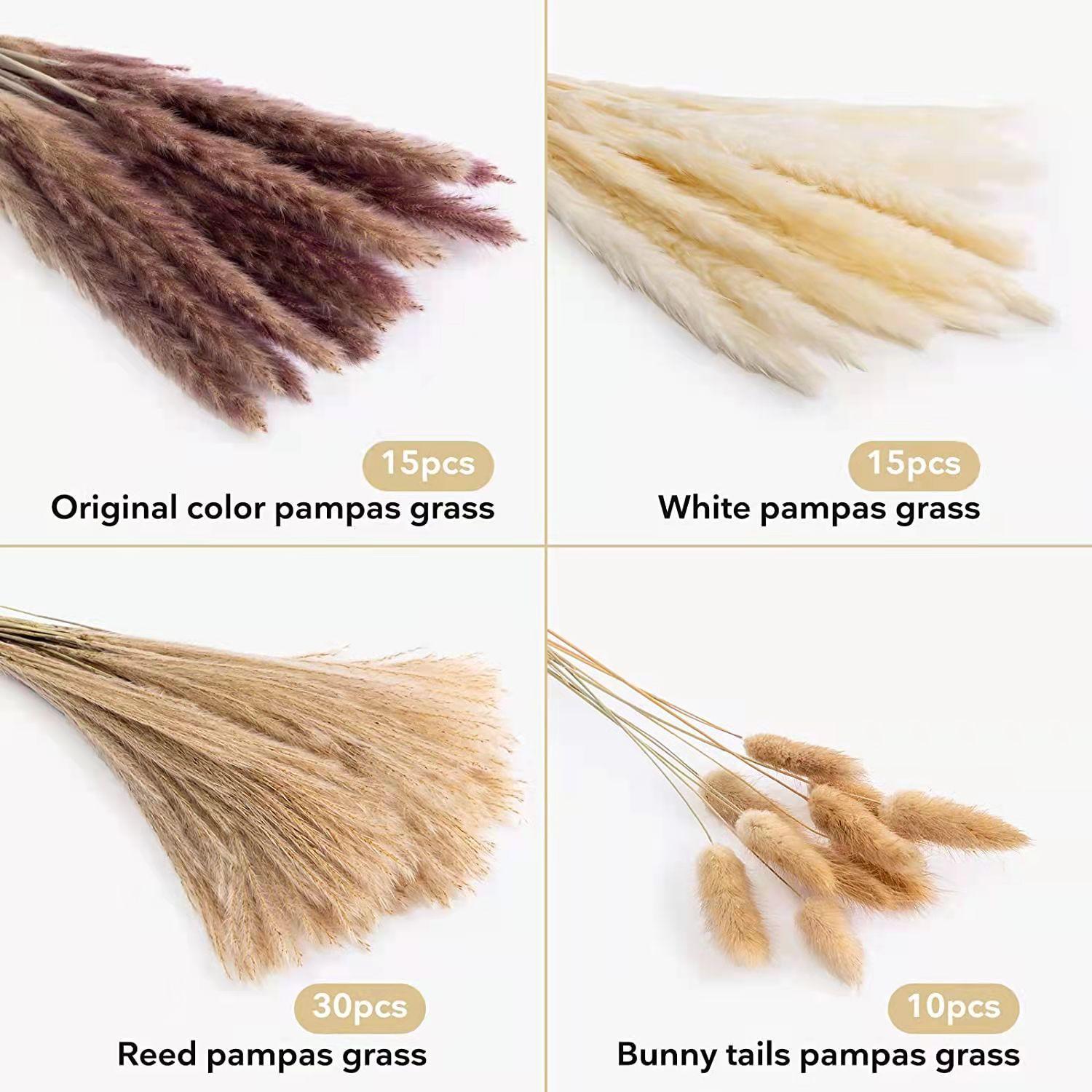 70 Cỏ Pampas Khô Tự Nhiên Trang Trí, Bó Hoa Khô, Thành Phần Hoa Pampas Sấy Khô Màu Be Trắng, Lông Pampas, Cây Trang Trí Nhà, Đám Cưới Phong Cách Boho, Phòng Ngủ, Sinh Nhật