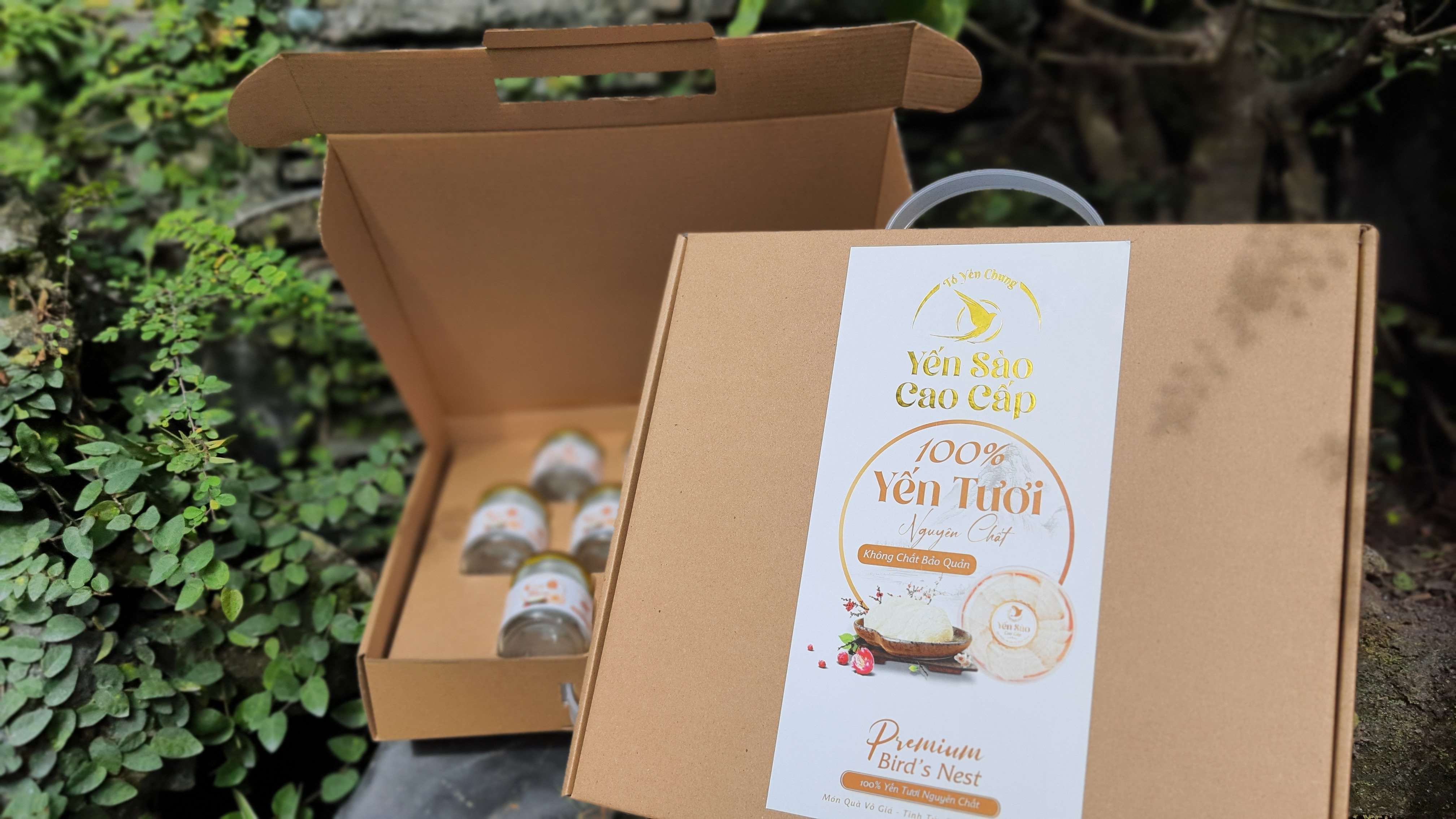 Hộp đựng 10 hủ yến chưng cao cấp
