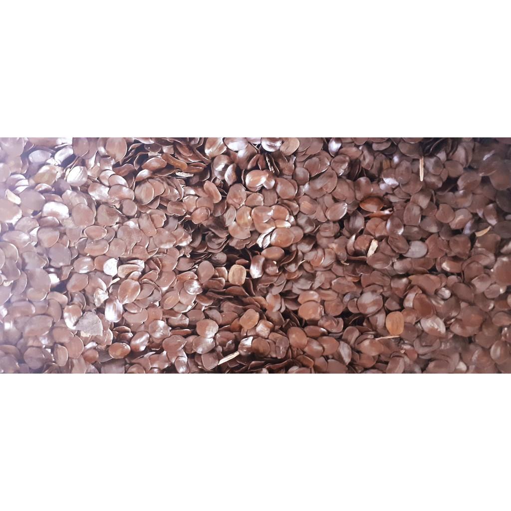 Hạt giống muồng đen