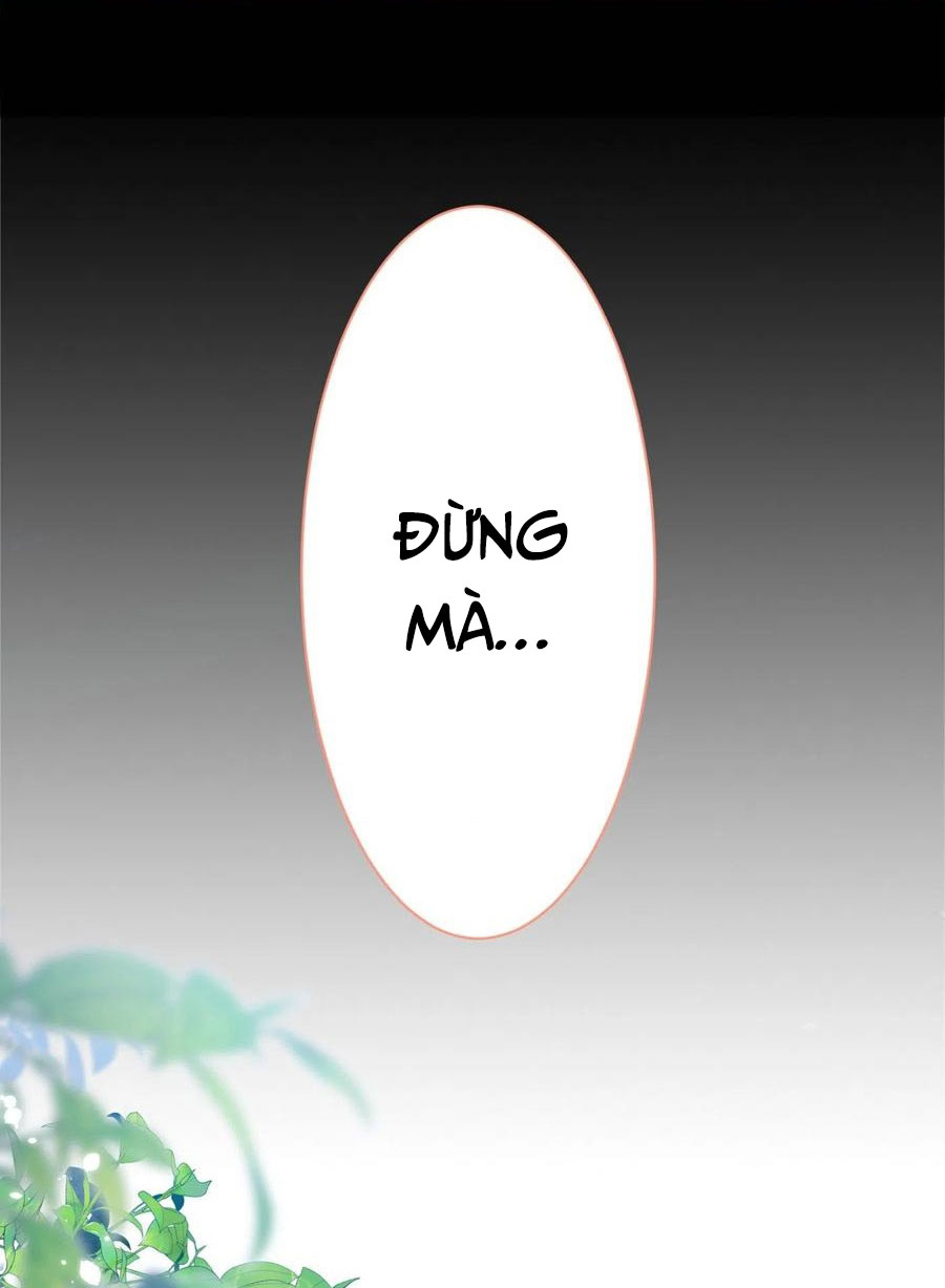 lại bị nam thần chọc trên hot search! chapter 95 12