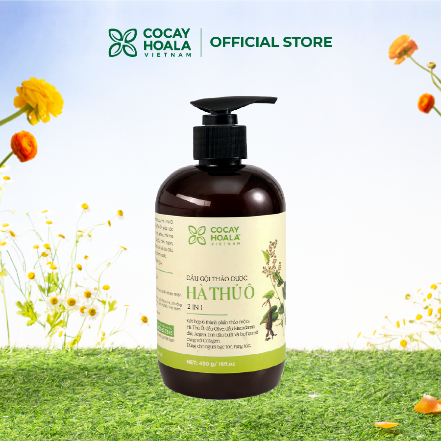 Tác dụng của dầu gội đầu hà thủ ô Tác dụng của dầu gội đầu hà thủ ô