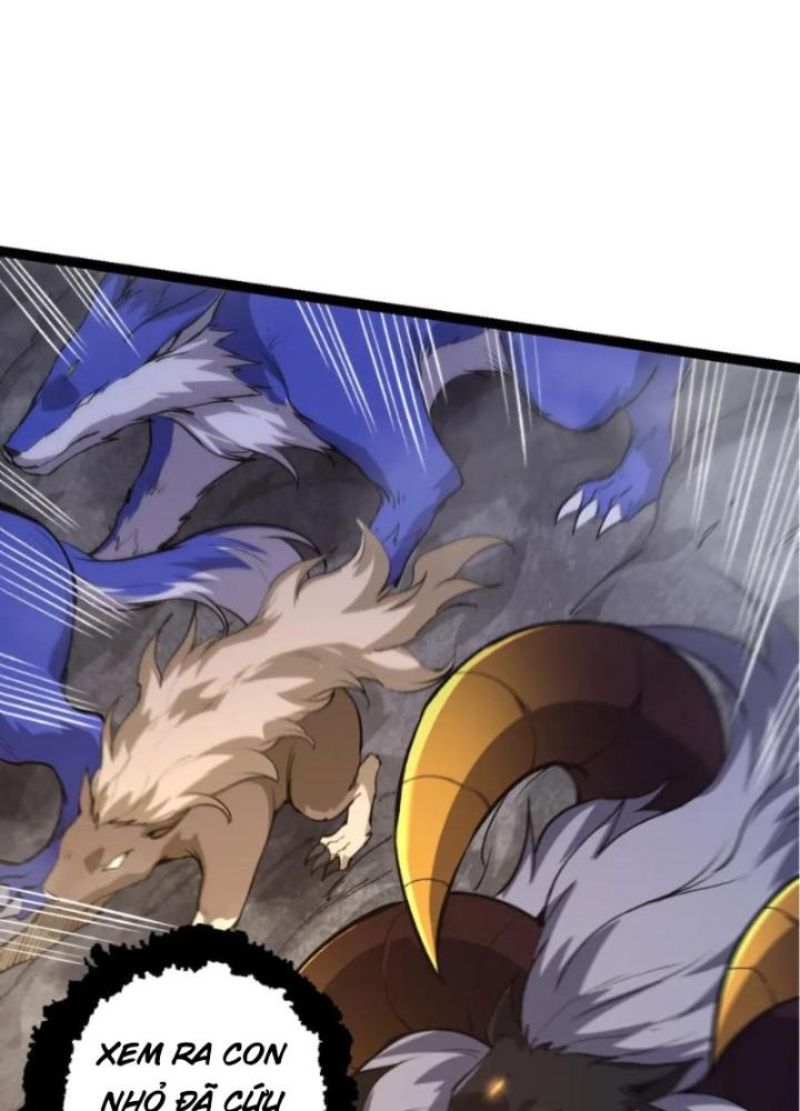 từ cây cổ thụ bắt đầu tiến hóa chapter 94 88