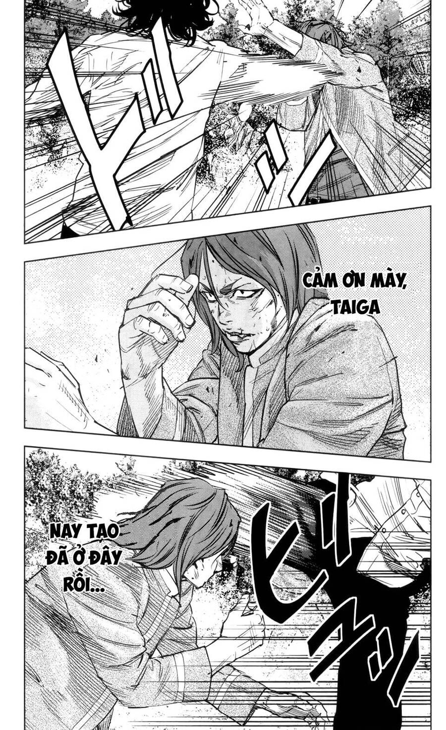 crows zero 2 suzuran x housen chapter 37 30