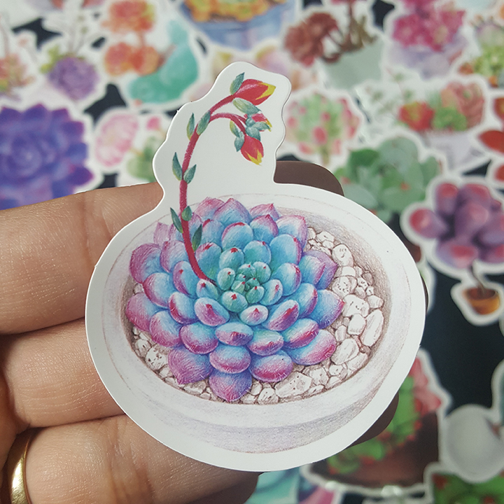 Bộ Sticker dán cao cấp chủ đề SEN ĐÁ SUCCULENTS - Dùng dán Xe, dán mũ bảo hiểm, dán Laptop