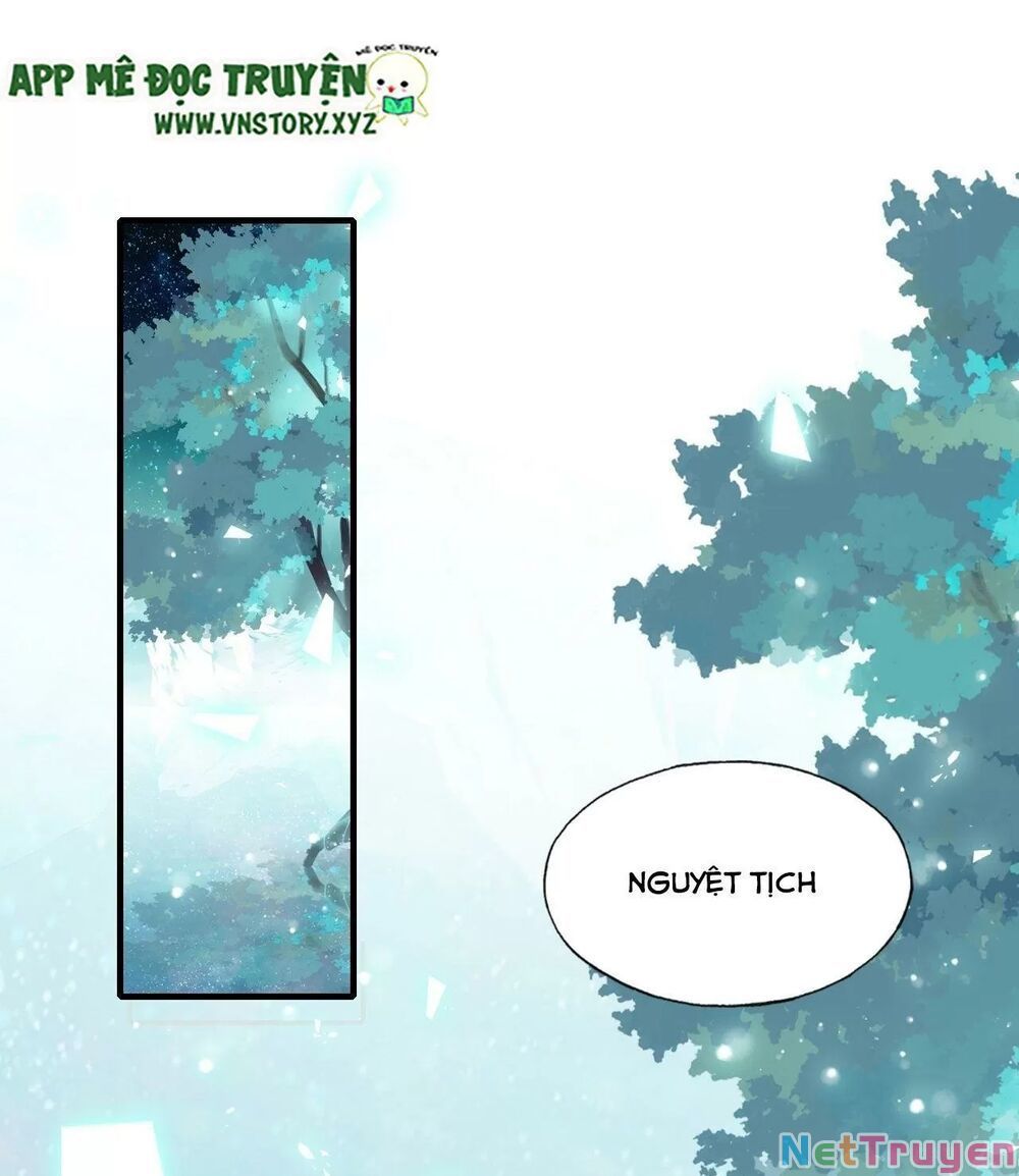 lại bị bệnh chiều chuộng quấn lấy chapter 63 6