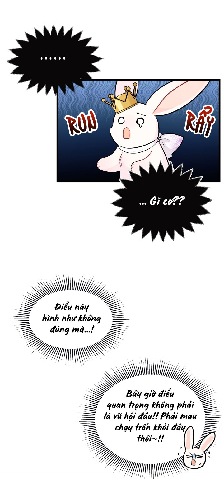 mối liên kết giữa báo đen và bé thỏ chapter 17 16
