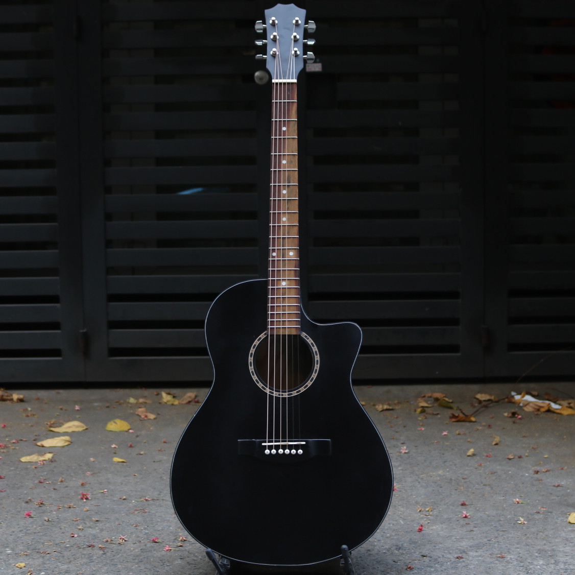 Đàn guitar acoustic có ty chỉnh cần ( pick , giáo trình )