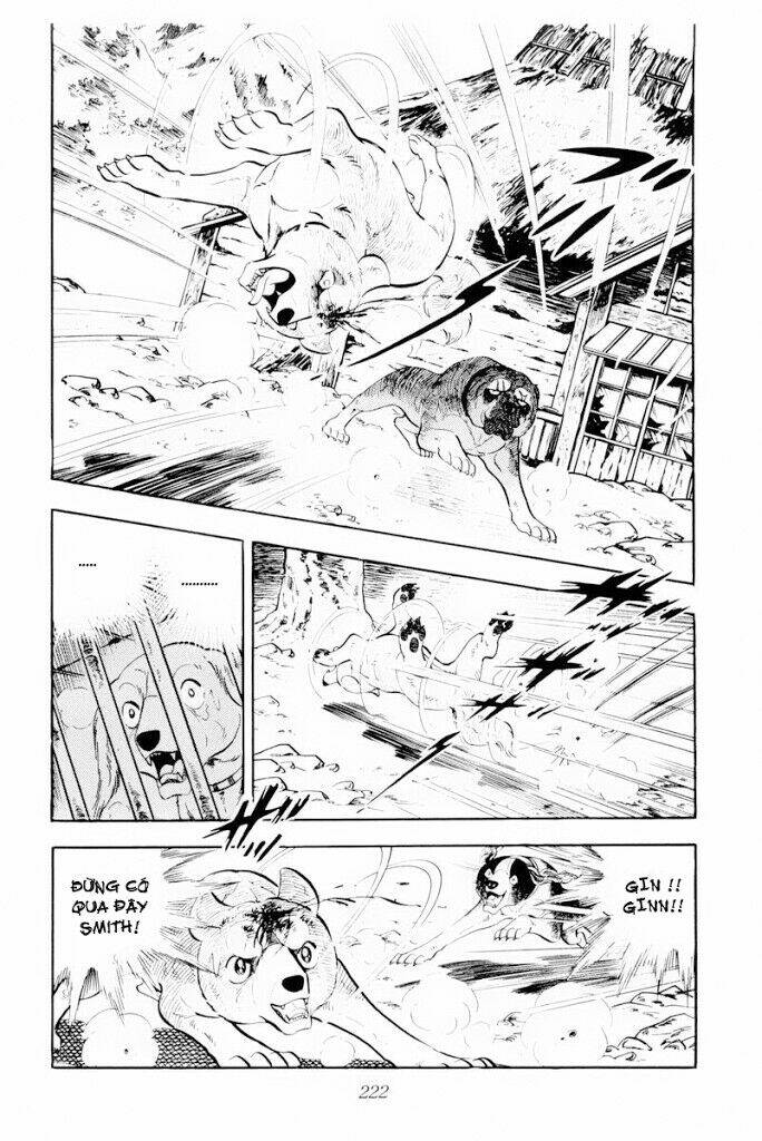 chú chó có nghĩa - ginga nagareboshi gin chapter 29.2 9
