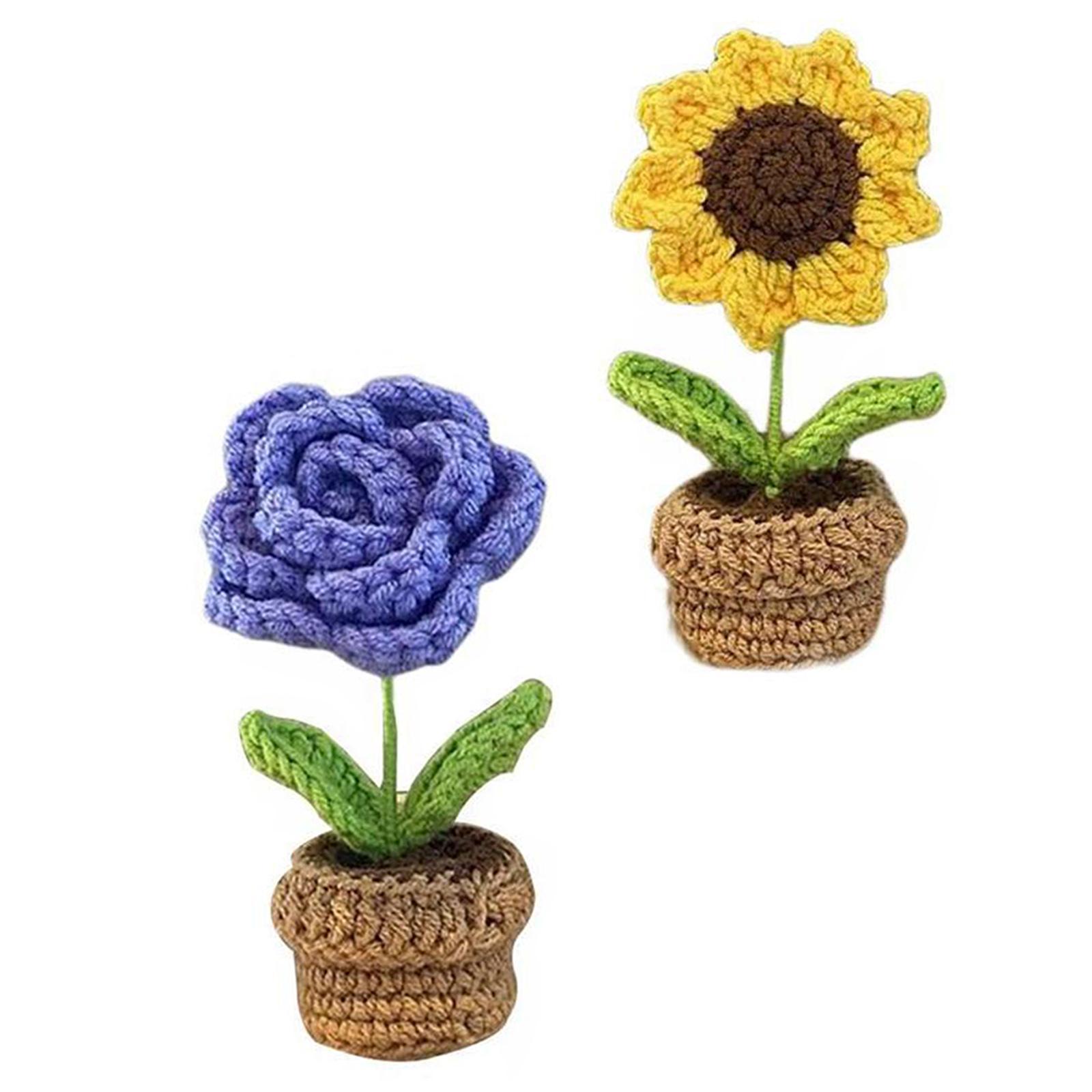 2pcs Handmade DIY Beginner Crochet Kit for Adults and Kids