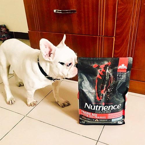 Thức Ăn Hạt Cho Chó - Nutrience Subzero Bao 2,27kg (Da Lông Bóng Mượt) - Thịt Bò, Cá Hồi, Rau Củ Quả, Trái Cây