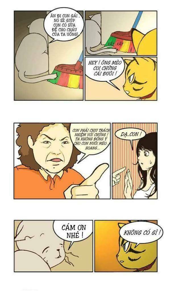 papi nyang chapter 2 6