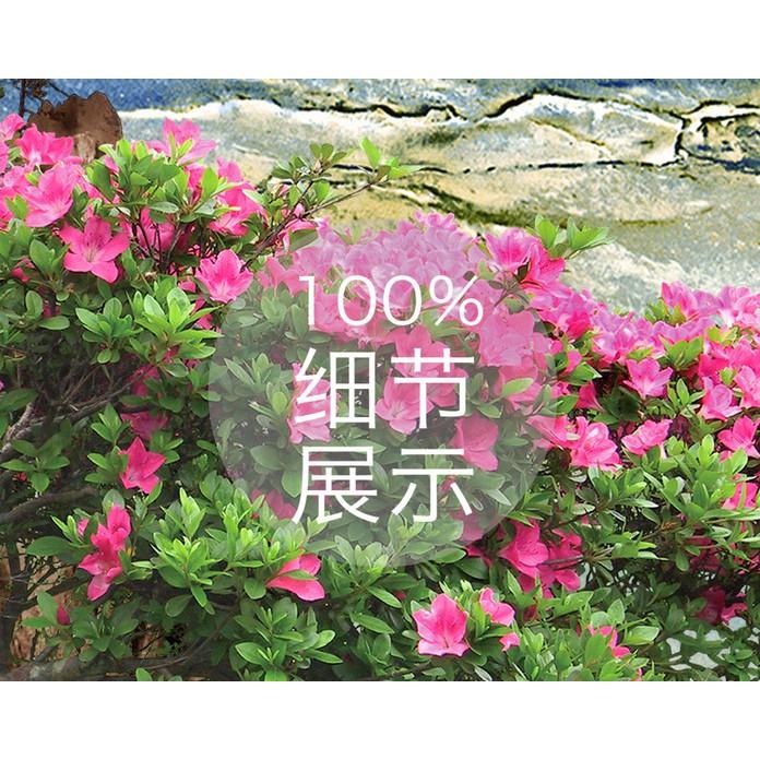 Tranh dán tường Phong cảnh thác nước, Tranh 3D dán tường hiện đại , MS 1105507