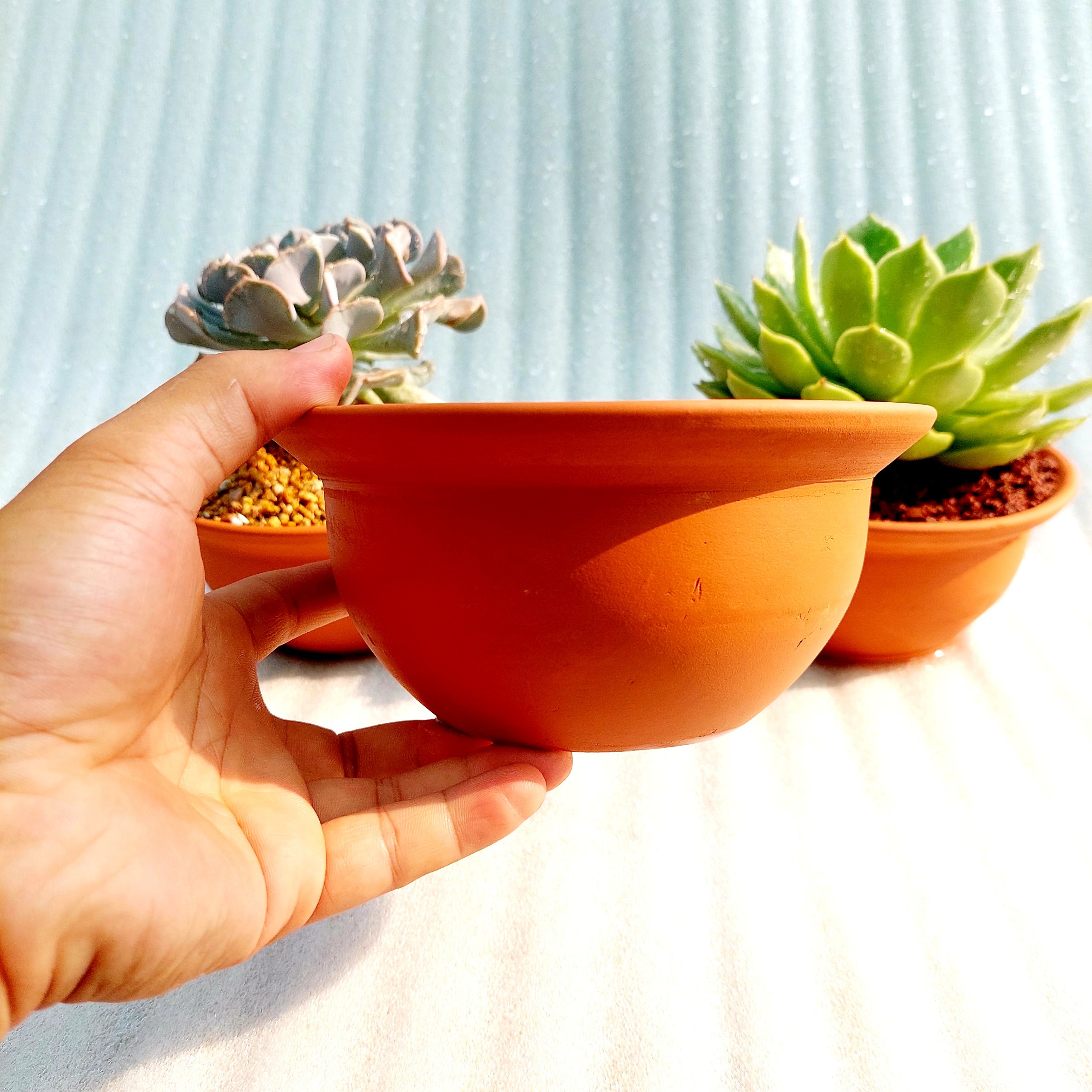 Chậu đất nung - Miệng bèo 168, miệng chậu 16cm, chiều cao 8cm