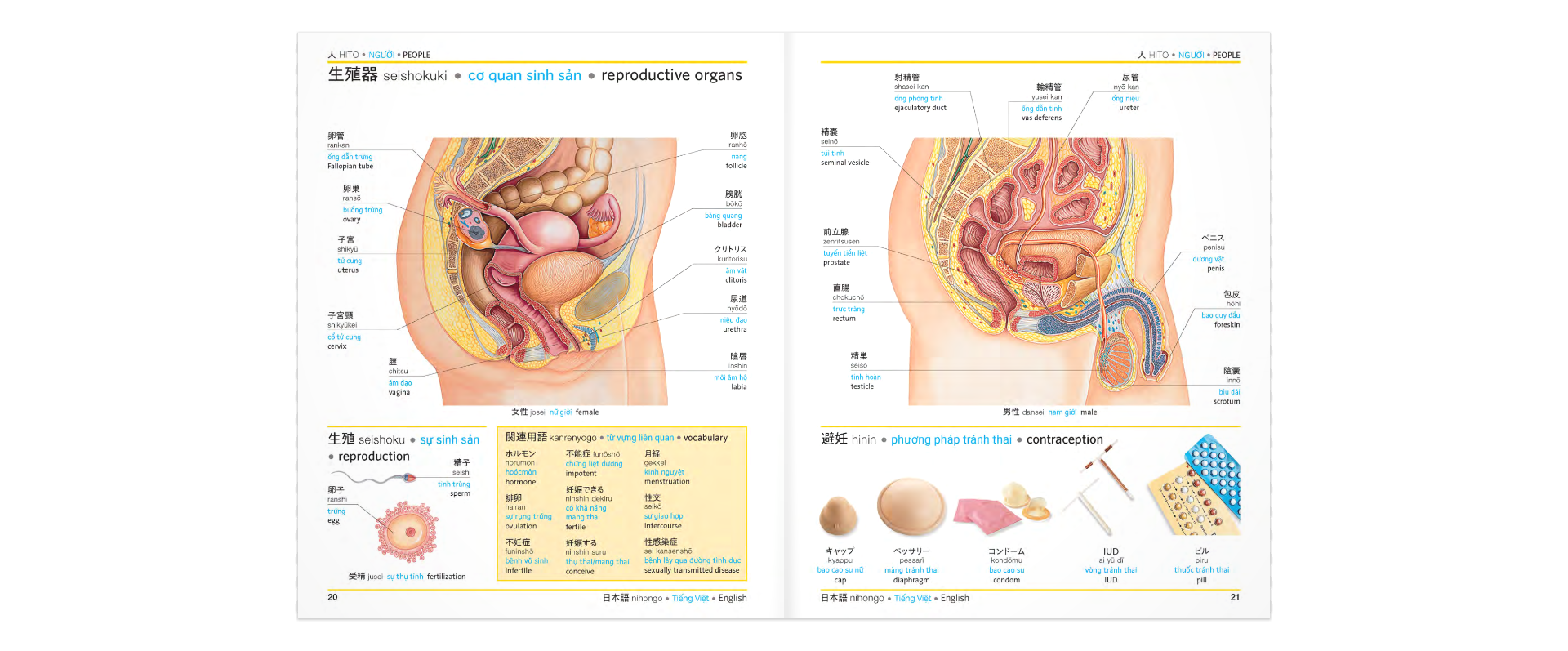DK Trilingual Visual Dictionary – Japanese-Vietnamese-English