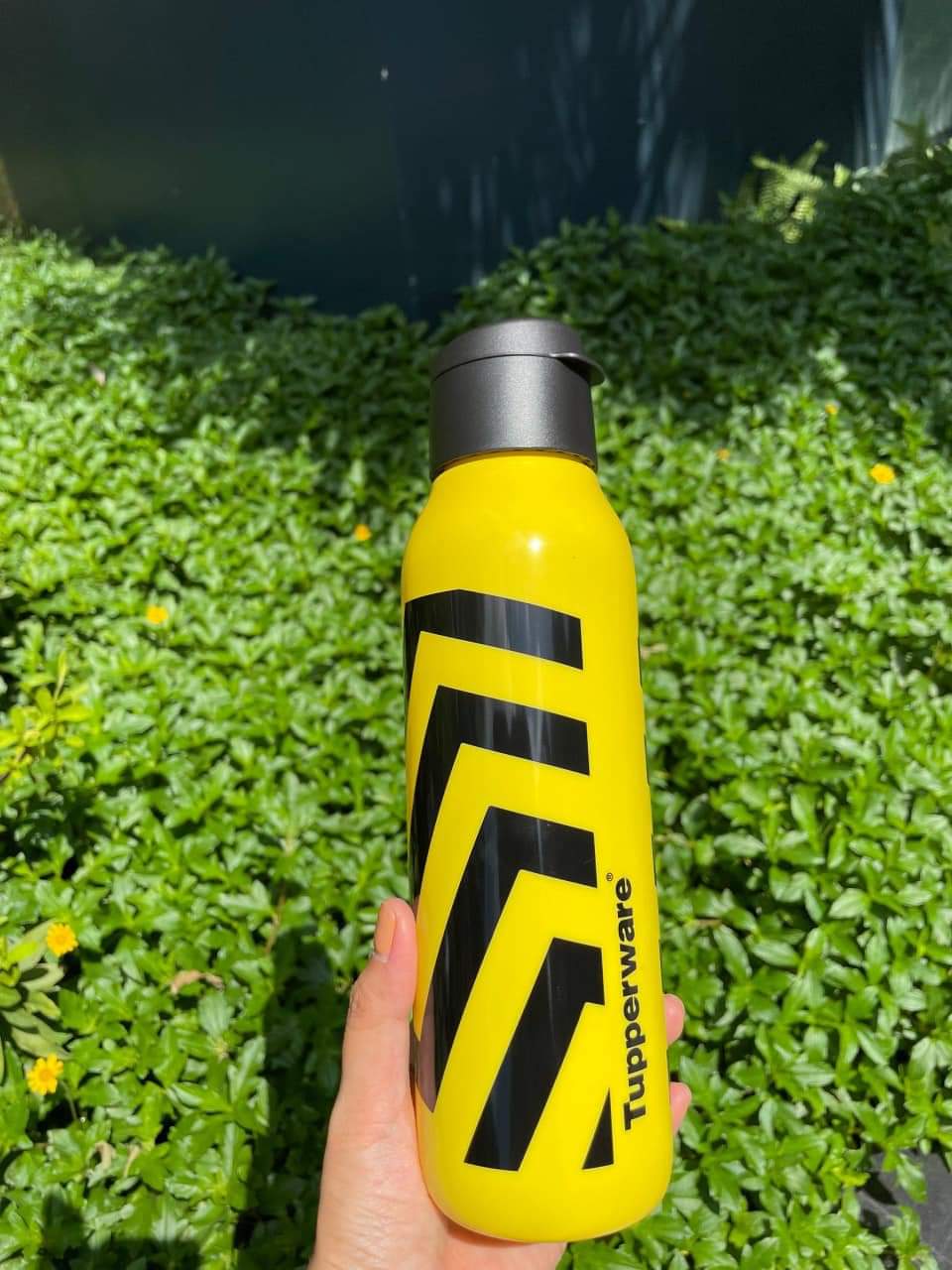 Bình Nước Eco Bottle Fancy 750ml - Tupperware chính hãng - bảo hành trọn đời - kín khí kín nước không lo đổ rỉ
