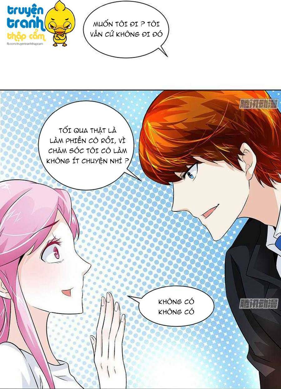 cường sủng hào môn tiểu manh thê chapter 26 27