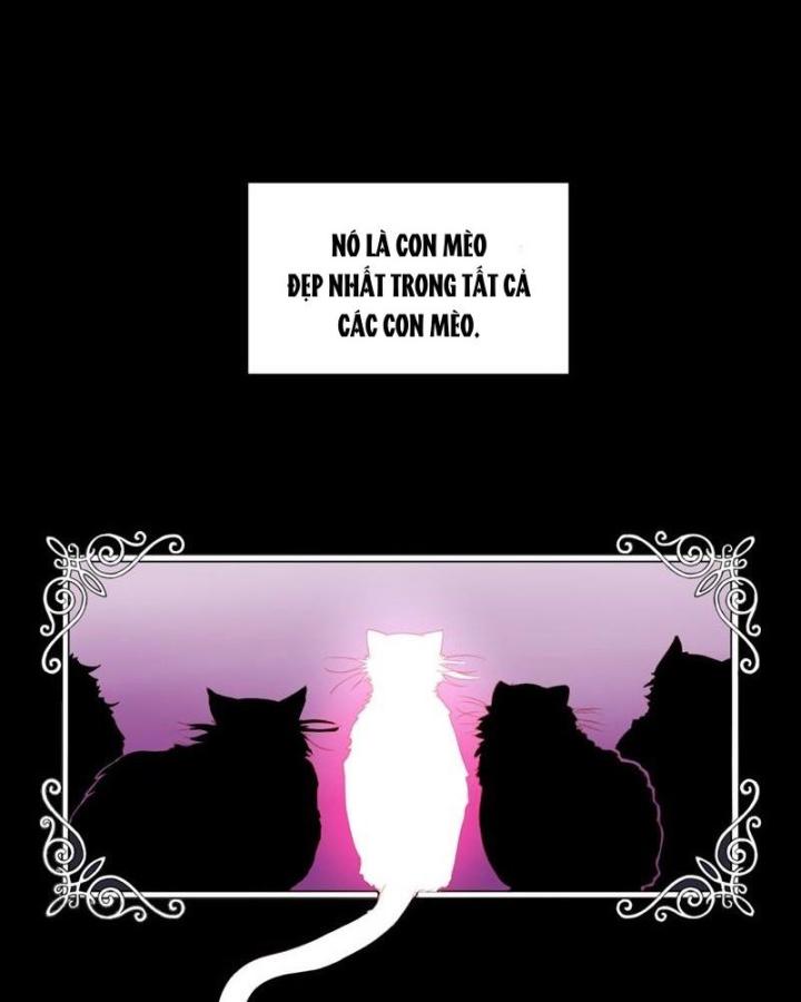 truyện cổ tích trong lòng mèo chapter 0 5