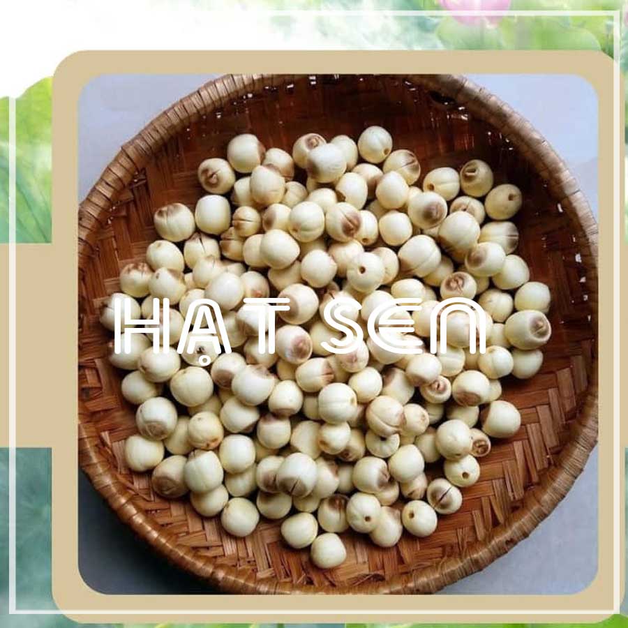 Hạt sen khô thượng hạng 250gr loại 1 (có hút chân không)