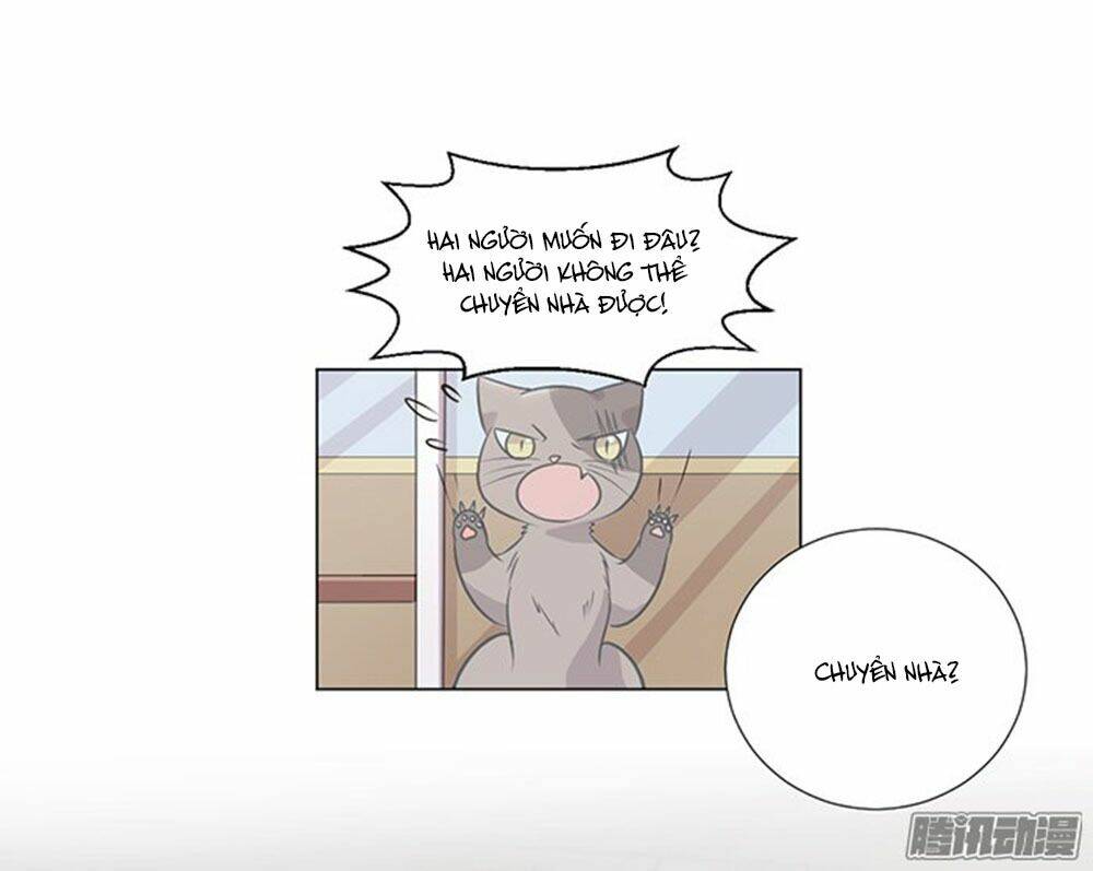 hai chú mèo totem chapter 39 44