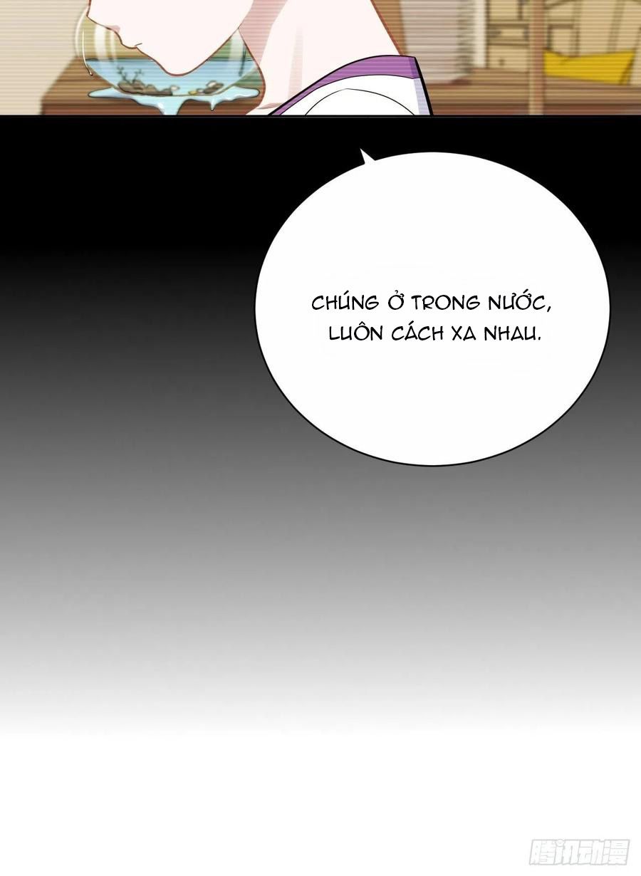 bố vợ đại nhân là bà xã chapter 215 7