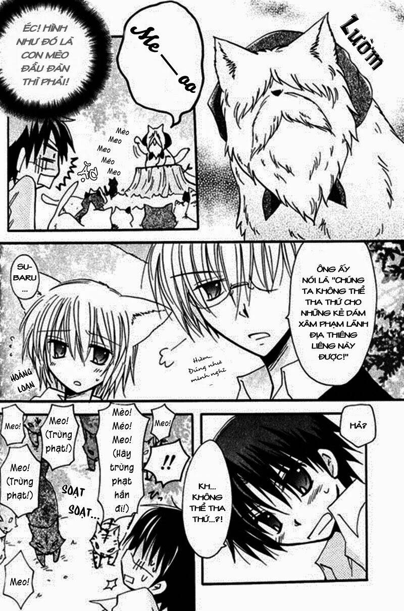 boku x neko? chapter 3.2 7