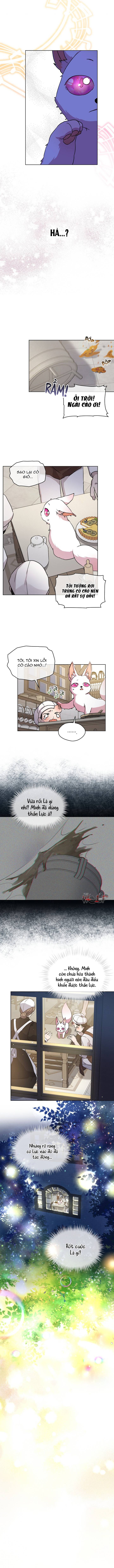 tái sinh thành bé thần thú nhỏ chapter 8 4