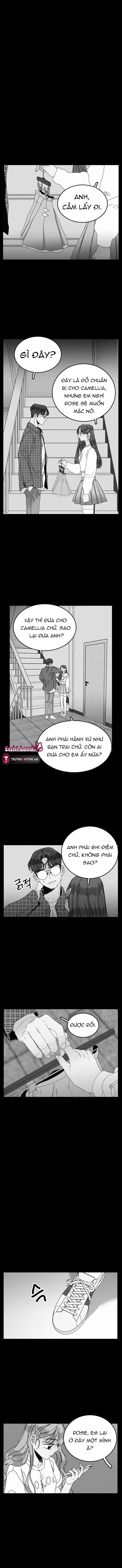 thanh âm tựa hoa hồng chapter 21.2 2