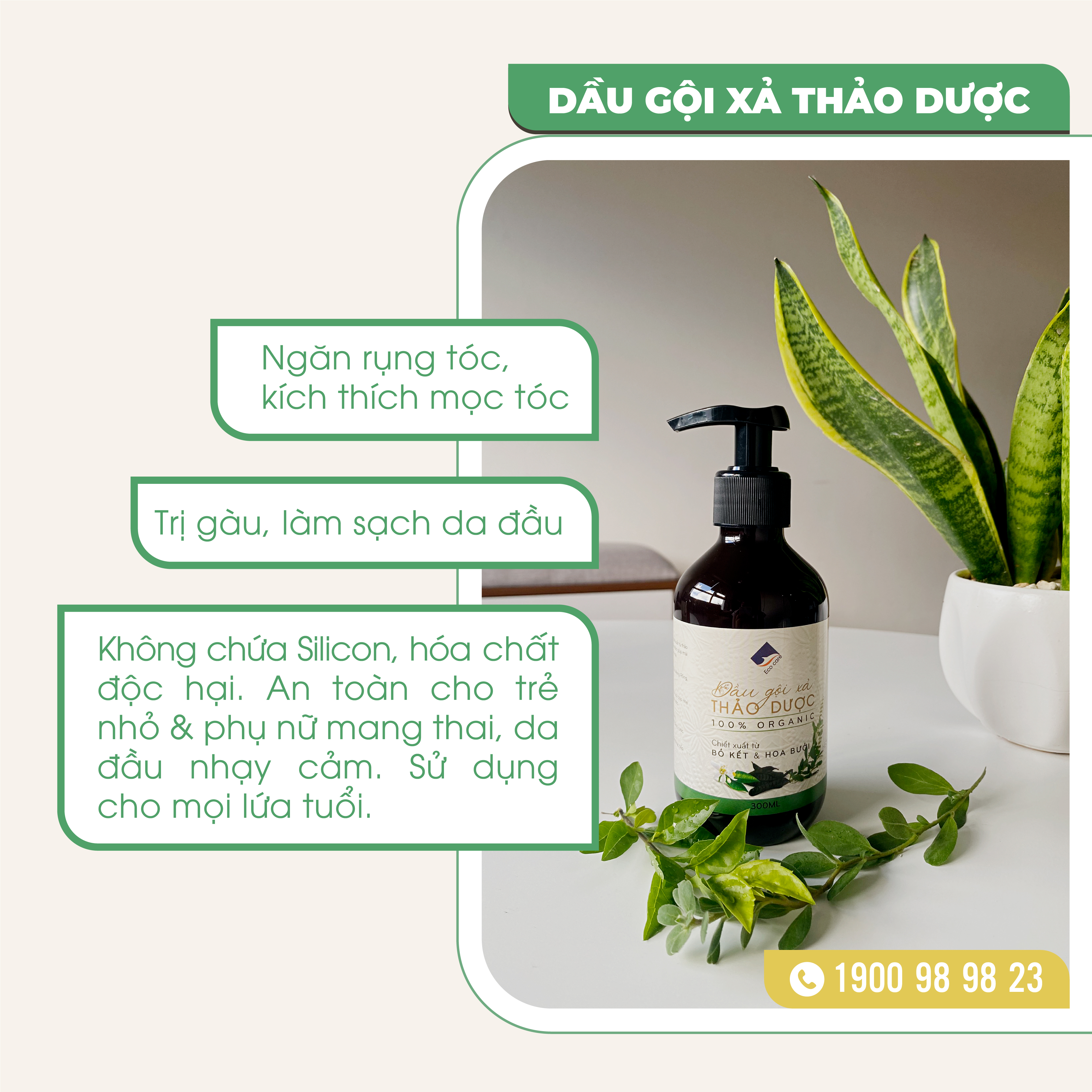 Dầu gội xả Thảo dược Ecocare 300ml, Dầu gội dầu xả Bồ kết hoa bưởi thiên nhiên sạch gàu, giảm rụng tóc, nấm ngứa da đầu