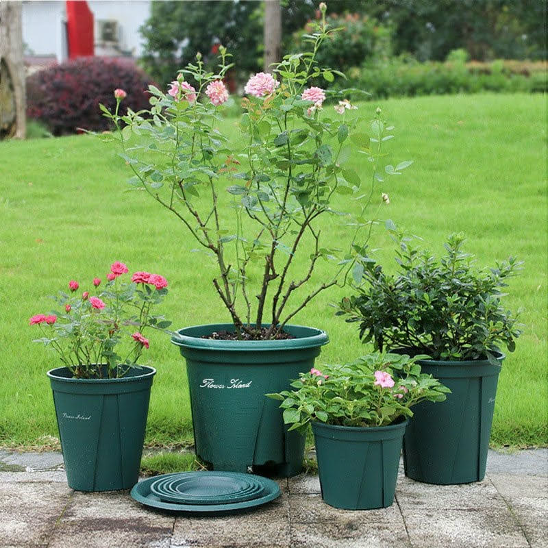 Phân bón hữu cơ vi sinh 4 in 1 - Thần dược cho cây trồng