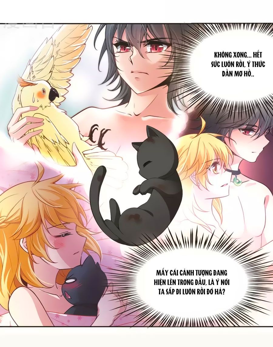 huyền vũ luyến ca: vạn vật sinh linh chapter 20.2 25